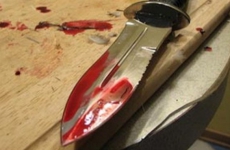 В Сакмарском районе женщина зарезала ножом своего знакомого и отправляется на 7 лет в колонию