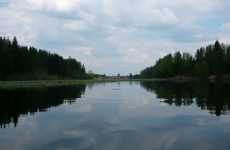 Стало известно, где категорически нельзя купаться под Петербургом