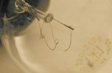 Когда нужен толчок: власти Ростова решают туалетный вопрос Ростов вошел в топ-10 городов с самыми высокими новостройками