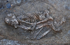 В Дагестане обнаружили еще один древний скелет человека