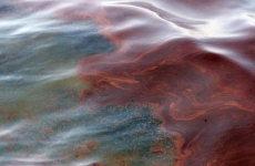 На Чукотке Берингово море загрязнили нефтепродуктами