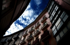 В приюте Иркутского района обнаружены многочисленные трупы животных