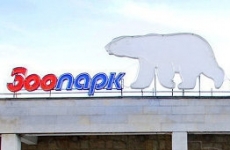 Детеныш японских макак появился на свет в Ленинградском зоопарке