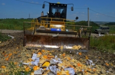 В Ингушетии таможенники уничтожили более 200 кг санкционного сливочного масла