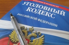 Суд назначил ограничение свободы за сорванный со здания суда флаг РФ