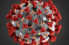 За сутки подтверждено 85 новых случаев коронавируса
